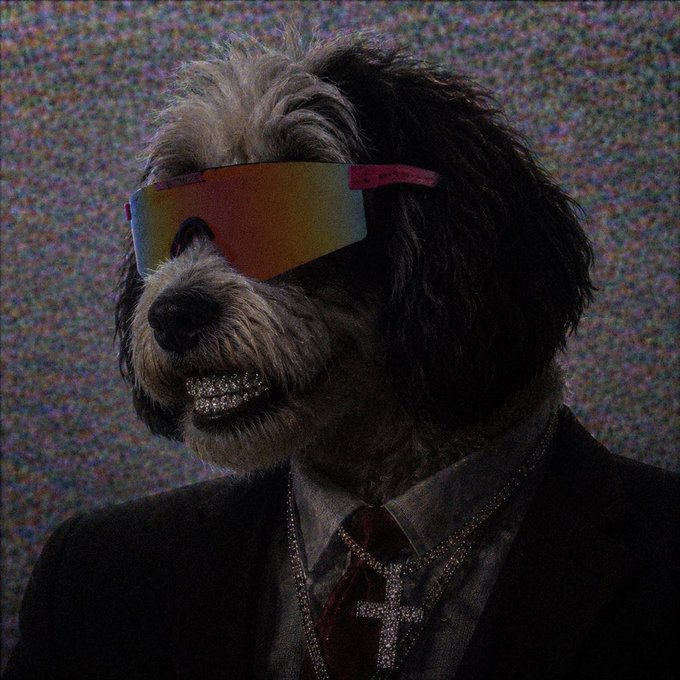 This image displays a dog wearing diamond-encrusted grills, large sunglasses, a suit, and a cross necklace, fitting the accompanying post's sentiment of being a "hard" profile picture or "pfp".