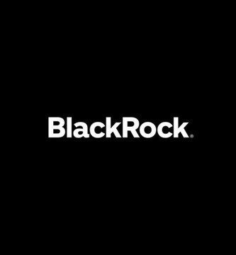 The BlackRock logo displayed in white text on a solid black background.
