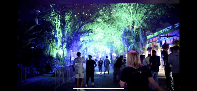 People walk down a pathway at night under large trees illuminated with green and blue lights, likely at a festival or park event.