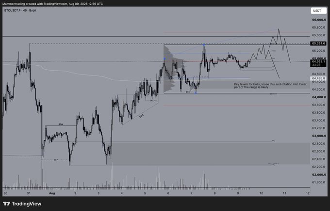 A BTCUSDT (Bitcoin/USDT) price chart on TradingView, dated August 9, 2026, showing price consolidation with annotated technical analysis levels including a note stating 'Key levels for bulls, loose this and rotation into lower part of the range is likely' with targets around 65,191, 64,923, and 64,605.