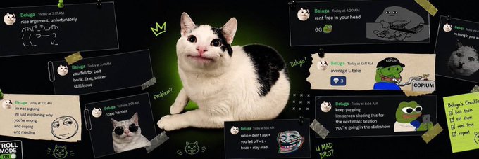 The image is a banner for the Solana token $beluga, featuring a black-and-white cat as the central mascot surrounded by mock Telegram-style message screenshots with captions like "nice argument, unfortunately," "am i not arguing why you're wrong," and "aveo it doesn't exist — you f*cked it. it boot + style mad," along with Pepe the Frog memes and checkboxes reading "Checklist: look them, kill them, steal their face, respect." The playful, chaotic meme collage reflects the community-driven, internet-culture branding of the $beluga token page on Moby.