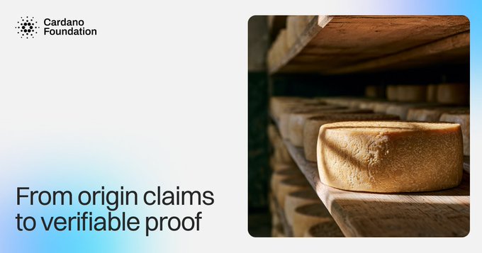 The image shows a banner from the Cardano Foundation featuring a photo of aged cheese wheels (likely parmesan) resting on wooden aging shelves, with the headline "From origin claims to verifiable proof." The visual directly illustrates the post's message by showing traditional cheese aging, paired with Cardano's blockchain-based certification system that transforms unverifiable origin claims into tamper-evident, on-chain proof that all parties can independently verify.