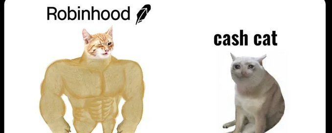 A meme comparing two cats: a muscular orange cat labeled 'Robinhood 🖋️' next to a smaller white cat labeled 'cash cat'.