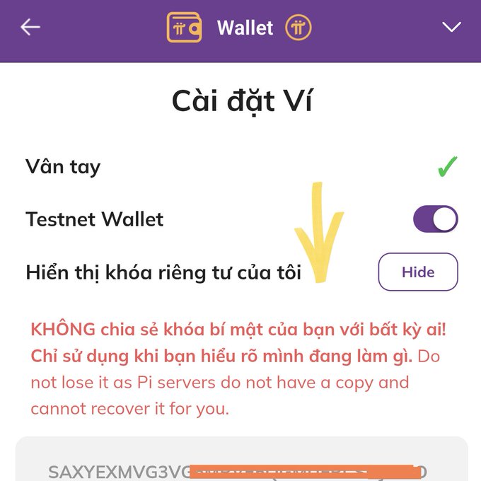 The image shows a Pi Network wallet settings screen (in Vietnamese) titled "Cài đặt Ví" with options for Fingerprint, Testnet Wallet toggle, and "Hiển thị khóa riêng tư của tôi" (Show my private key) set to Hide, accompanied by a warning in red to never share your secret key as Pi servers cannot recover lost keys. This illustrates the wallet's security settings and private key protection feature referenced in the post about safeguarding Pi Network wallets from scams.