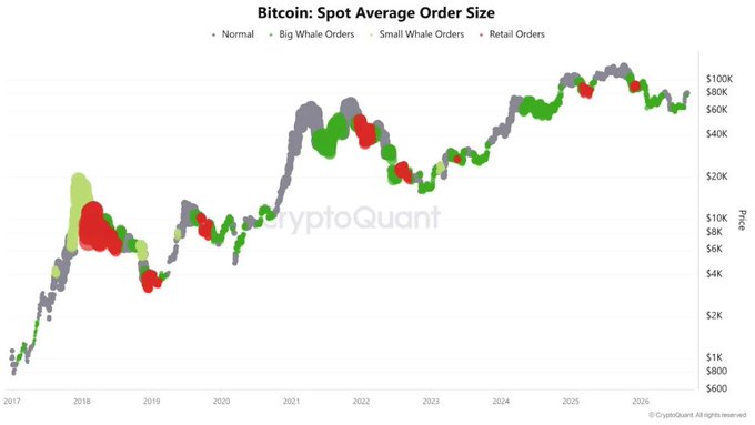A 'Bitcoin: Spot Average Order Size' chart by CryptoQuant tracks price from 2017 to 2026, using colored bubbles to denote 'Normal', 'Big Whale Orders', 'Small Whale Orders', and 'Retail Orders'.