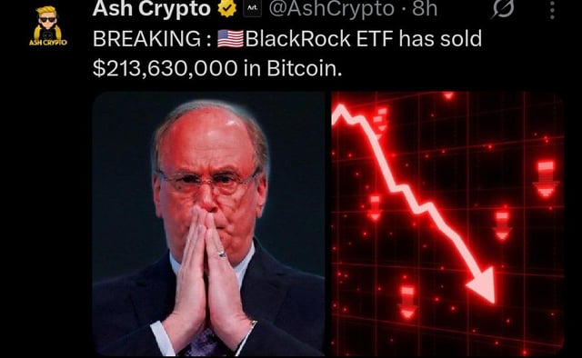 The image shows a close-up of a man wearing glasses with his hands folded behind his head. The background depicts a graph that shows Bitcoin prices decreasing over time. The caption above the image reads "BREAKING: BlackRock ETF has sold $213,630,000 in Bitcoin". It is important to note how this relates to the post on social media platforms as it suggests that the man might be a financial expert or discussing an interesting development related to Bitcoins and Bitcoins' prices.