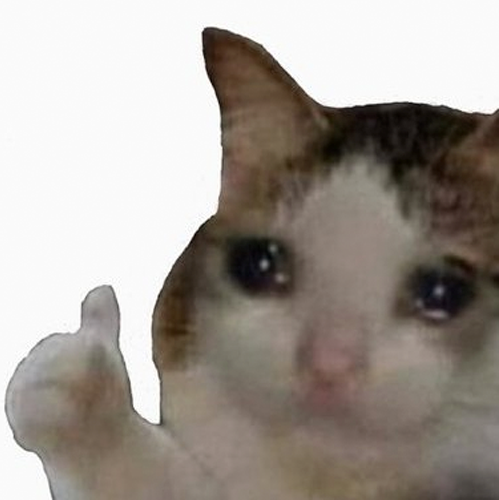A crying kitten appears to wipe away tears while being paired with a caption about buying thousands of meme coins that all failed to deliver returns. The image's emotional expression of disappointment visually reinforces the sentiment of feeling overwhelmed and let down by unsuccessful meme coin investments.