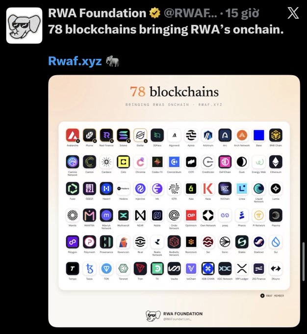 A screenshot from RWA Foundation (@RWAF...) on X showing '78 blockchains bringing RWA's onchain' at Rwaf.xyz, displaying a grid of various blockchain network logos including Avalanche, Solana, Cosmos, BNB Chain, Ethereum, and many others.