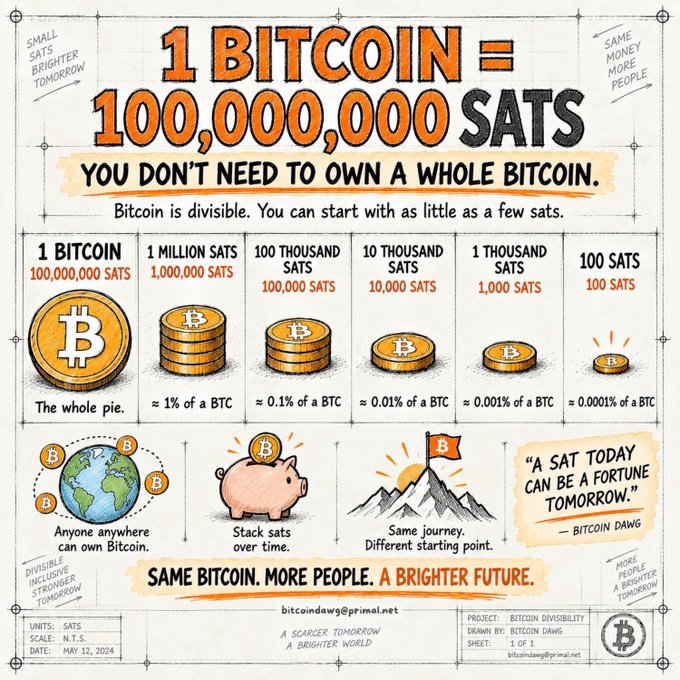 An infographic explaining Bitcoin divisibility, showing that 1 Bitcoin equals 100,000,000 sats, with illustrations of coins decreasing in size from 1 BTC to 100 sats, and the tagline 'A SAT TODAY CAN BE A FORTUNE TOMORROW' by Bitcoin Dawg.