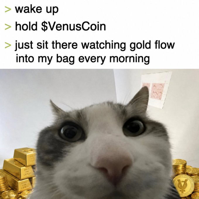 A meme featuring a close-up of a cat with gold coins and bars, captioned '> wake up > hold $VenusCoin > just sit there watching gold flow into my bag every morning'.