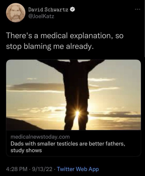 Tweet by David Schwartz (@JoelKatz) joking 'There's a medical explanation, so stop blaming me already,' sharing a link to a medicalnewstoday.com article titled 'Dads with smaller testicles are better fathers, study shows,' over an image of a person silhouetted against a sunset.