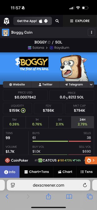 A mobile screenshot of DexScreener showing crypto token data for 'Boggy Coin' (BOGGY/SOL) on Solana/Raydium, priced at $0.0007942 USD with a $159K liquidity and $794K market cap, branded with 'The first of it's kind.' and a toast-dog mascot.