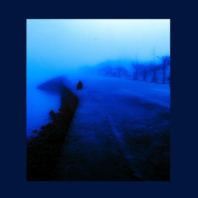 A moody, foggy blue-toned photograph of a deserted waterfront promenade with palm trees silhouetted in the mist.
