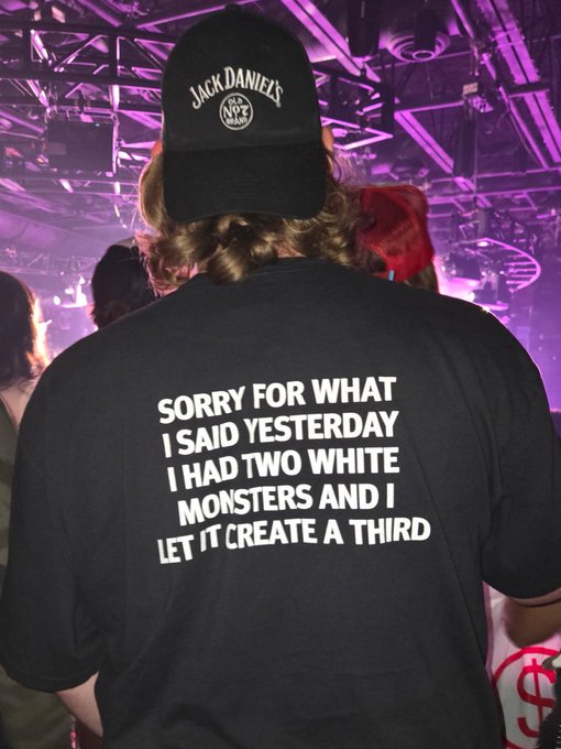 A person wearing a Jack Daniel's cap and a black t-shirt reading 'SORRY FOR WHAT I SAID YESTERDAY I HAD TWO WHITE MONSTERS AND I LET IT CREATE A THIRD' at a concert.