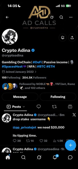 A Twitter/X profile screenshot of 'Crypto Adina' (@cryptoadina) with 204.5K followers, featuring her pinned post asking '@pp_privatejet we need $20,000 its tipping time' and her bio listing crypto/Gambling/DeFi/OnChain topics with tickers like $SpacesHost, $NFA, $BTC, $ETH.