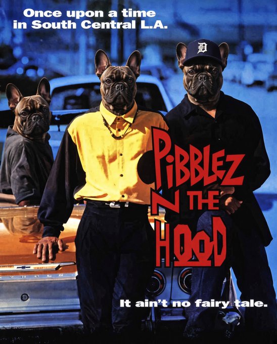 A 'Ribblez N the Hood' parody movie poster featuring French Bulldogs in clothing, styled like 'Boyz n the Hood' with the tagline 'Once upon a time in South Central L.A.' and 'It ain't no fairy tale.'