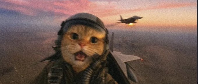 A meme image showing a cat's face superimposed onto a fighter pilot's body in a cockpit during sunset, with another jet visible in the background sky.