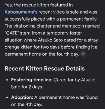 A text statement confirming that a rescue kitten named 'CATE' featured in Kabosumama's video has been safely placed with a permanent family after being fostered by Atsuko Sato for 2 days.