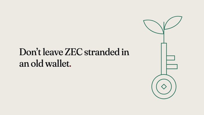 An informational graphic featuring a green line-art key with a sprout growing from its top, alongside the text 'Don't leave ZEC stranded in an old wallet.'