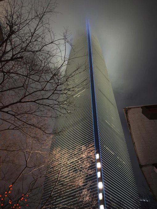 A nighttime view of a tall skyscraper illuminated with blue lights, partially obscured by bare tree branches and fog.