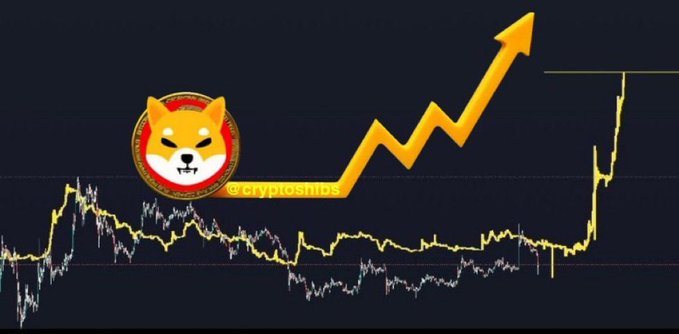 A cryptocurrency chart with a Shiba Inu coin logo and an orange upward-trending arrow, watermarked @cryptoshibs.