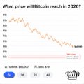 The image shows a graph representing the price of Bitcoin over time with a downward sloping line indicating a decrease in value. The Bitcoin market has reached an all-time low, as evidenced by the downward trend shown on the graph. The majority of people are betting against the Bitcoin exchange, as they have already lost a substantial amount of money and the odds seem to be stacked against them.
