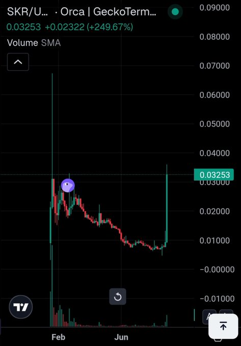 A financial chart shows a candlestick graph for ticker "SKR/U... · Orca | GeckoTerm..." displaying a current price of 0.03253 with a significant gain of +249.67%, featuring a visible purple and blue dot on the chart.