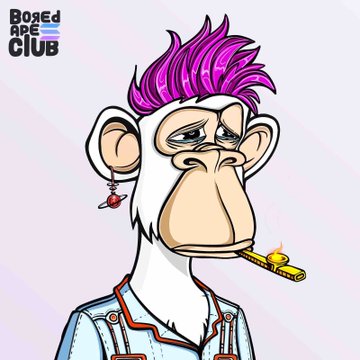 The image features a Bored Ape-style cartoon monkey with a vibrant pink mohawk, droopy eyes, an earring, and a cigar in its mouth, with "Bored Ape Club" text in the upper left corner. The accompanying post references this NFT collection, announcing a giveaway of BASC V2 #7534, Micros #7437, and three "Chosen Bloke" community roles to celebrate the opening of the Sol Blokes Society.
