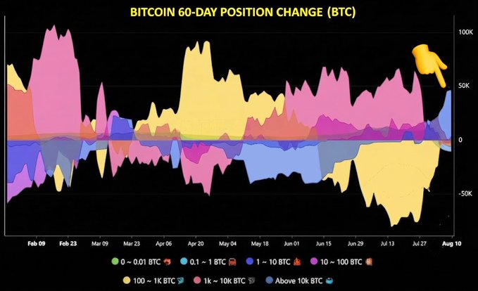 **Caption:** A stacked area chart titled "BITCOIN 60-DAY POSITION CHANGE (BTC)" tracking whale accumulation across wallet sizes from Feb 09 to Aug 10, with the recent orange spike (10–1K BTC holders) on the right aligning with the claim of $2.9B in BTC bought by whales over 60 days.

**Relation to post:** The chart visually confirms the post's narrative—the large upward spike in late July/August from "100–1K BTC" holders (orange) and other whale tiers demonstrates the highest 60-day accumulation in months, supporting the bullish "$70K incoming" thesis that large holders are aggressively positioning for a breakout.