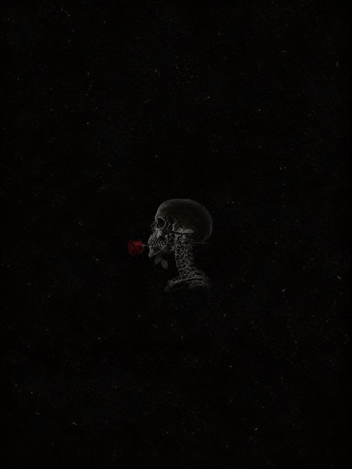 A dark, moody image featuring a skull holding a single red rose, emerging faintly from a black background with subtle grain.