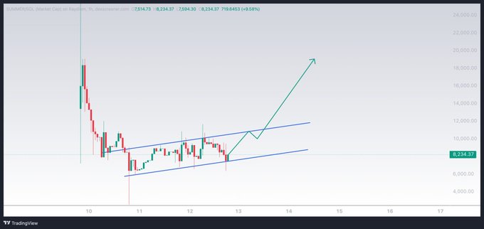A TradingView chart of SUMMER/USDC shows an ascending channel pattern forming between support (~$6,500) and resistance (~$10,000), with an annotated green arrow projecting a breakout toward $20,000 — illustrating the bullish momentum the post references as it hypes the low-supply token currently priced at $0.6.