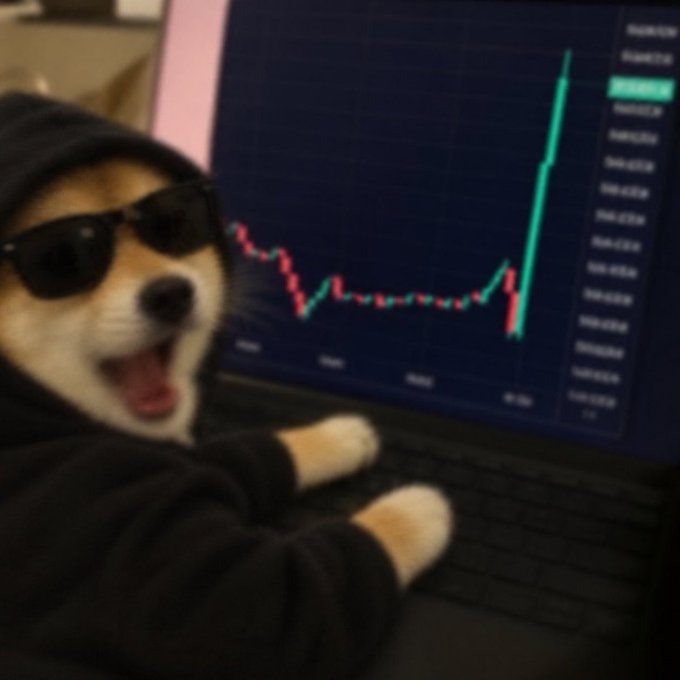 A Shiba Inu dog wearing black sunglasses and a black hoodie sits in front of a laptop displaying a green and red stock or crypto chart.