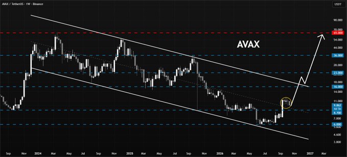 A weekly AVAX/USDT chart on Binance displays Avalanche's price action breaking above a descending channel's midline (~$10), with an arrow projecting a bullish continuation toward key resistance levels at $23.00, $36.50, and $65.00, accompanied by a circled retest point confirming support holding firm.