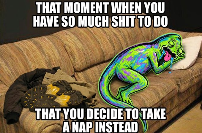 A meme featuring a colorful cartoon lizard on a brown couch with clothes scattered nearby, captioned 'THAT MOMENT WHEN YOU HAVE SO MUCH SHIT TO DO' and 'THAT YOU DECIDE TO TAKE A NAP INSTEAD'.