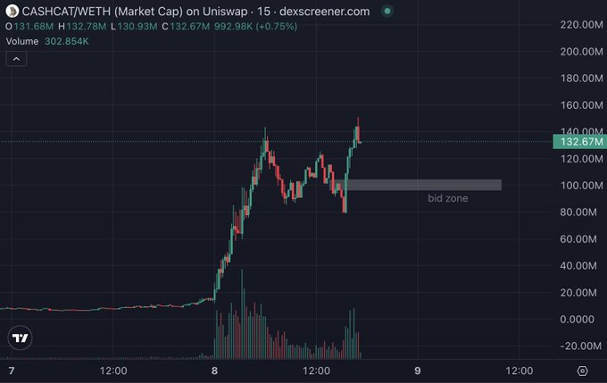 A 15-minute Uniswap chart shows CASHCAT/WETH market cap swinging from a flat baseline to a sharp rally peaking near $145M before correcting toward an annotated "bid zone" around $100M, with current MC at $132.67M (+0.75%) and volume at 302.854K—visually reinforcing the post's buy-the-dip thesis ahead of expected multi-billion MC expansion.