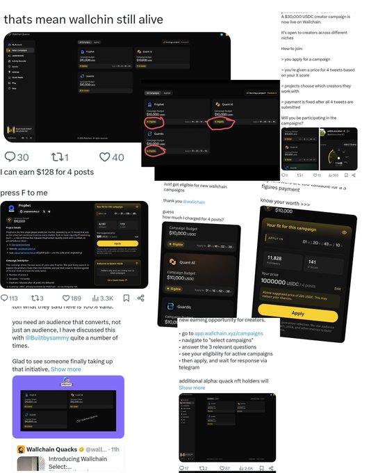 In the image, there are various posts related to Wallchain, including a social media post about the Wallchain platform. The post mentions that everyone is chasing with Wallchain and @wallchainEligibility, while another post warns that not all users are Eligible yet.