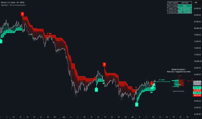 Trading chart for Bitcoin / U.S. Dollar on INDEX showing a strong downtrend from around 108,000 to below 64,000, with red 'BIGGER PULLBACKS!' annotations and bullish divergences marked.