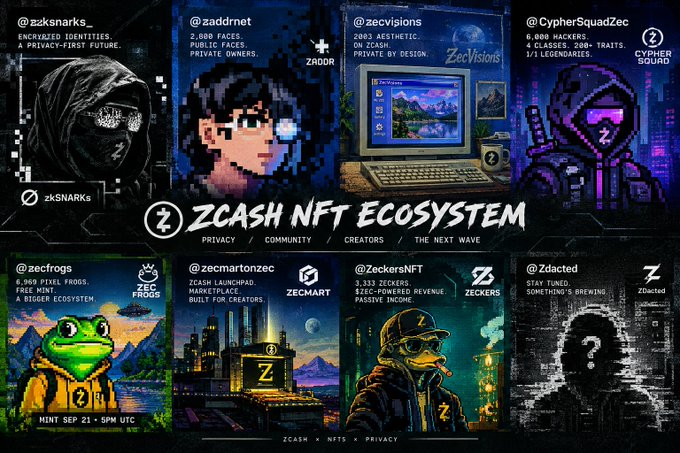 A promotional graphic titled 'ZCASH NFT ECOSYSTEM' showcasing collections like zkSNARKs, ZADDR, ZecVisions, CypherSquadZec, zecfrogs, ZecMart, ZeckersNFT, and Zdacted.