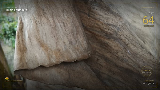 A close-up of textured brown cushions or fabric with a 'DAY 64 LEGENDARY' label in the upper right, a 'PROOF OF GRASS verified outdoors' label, and a 'TOP 1% GRASS TOUCHERS' badge, with 'touch grass' in the bottom right.