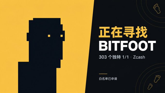 A pixel art character on a yellow background appears with the text '正在寻找 BITFOOT 303个独特 1/1 Zcash 白名单已申请'.