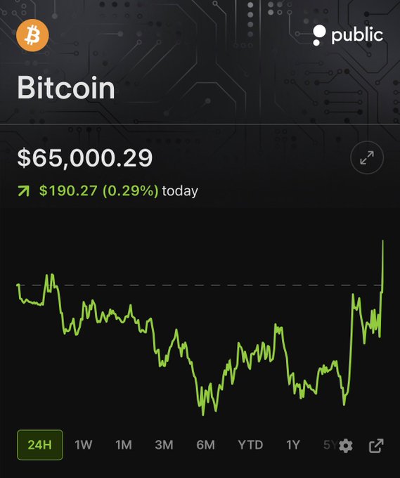 A Public.com app screen displays Bitcoin (BTC) priced at $65,000.29, up $190.27 (0.29%) on the day, with a 24-hour chart showing price recovery to the $65K level—visually confirming the post's claim that Bitcoin is back over $65K.