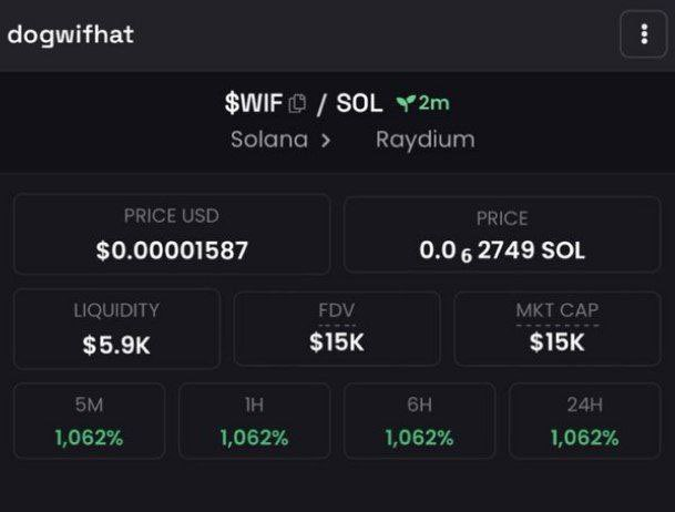 A dark-themed cryptocurrency tracker screen displays the $WIF token on Solana/Raydium with a price of $0.00001587, market cap of $15K, and 1,062% gains across all timeframes.