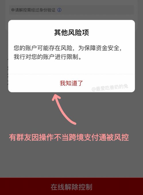 A Chinese-language warning popup reading "其他风险项" (Other risk items) about account restrictions, with an arrow pointing to an "我知道了" (I understand) button and text mentioning cross-border payment risk control issues.