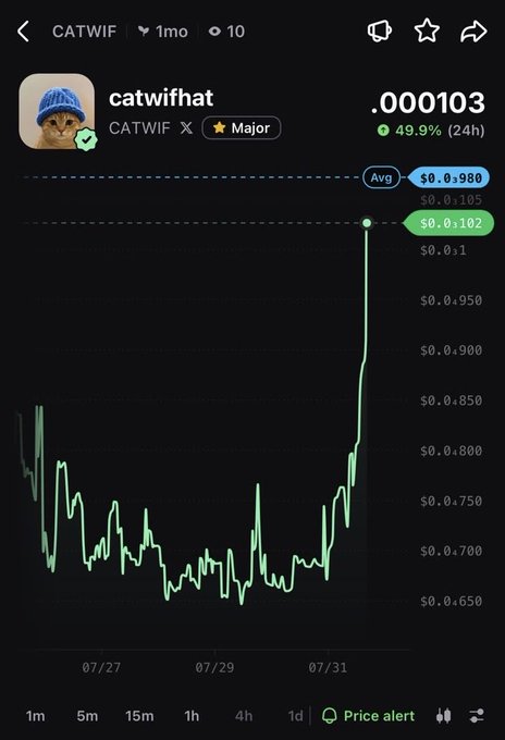 The image shows a cryptocurrency chart for "catwifhat" (CATWIF), displaying a sharp price spike from around $0.0001 to $0.000103 with a 49.9% gain in 24 hours. This dramatic surge connects to the post "My ears are ringing. Is someone talking about me?" by playfully suggesting the meme coin's sudden spike was triggered by people discussing it.