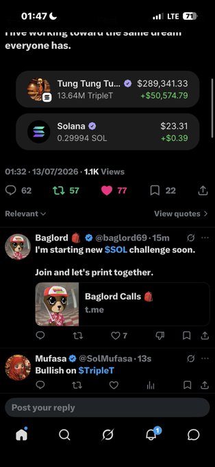 A social media screenshot showing crypto holdings including 'Tung Tung Tu...' ($289,341.33 / 13.64M TripleT, +$50,574.79) and 'Solana' ($23.31 / 0.29994 SOL, +$0.39), with a post from @baglord69 announcing a 'new $SOL challenge soon' and a reply from @SolMufasa stating 'Bullish on $TripleT'.