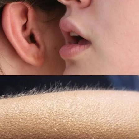 A split image showing a close-up of a person's ear and mouth whispering on top, and an arm with goosebumps on the bottom.