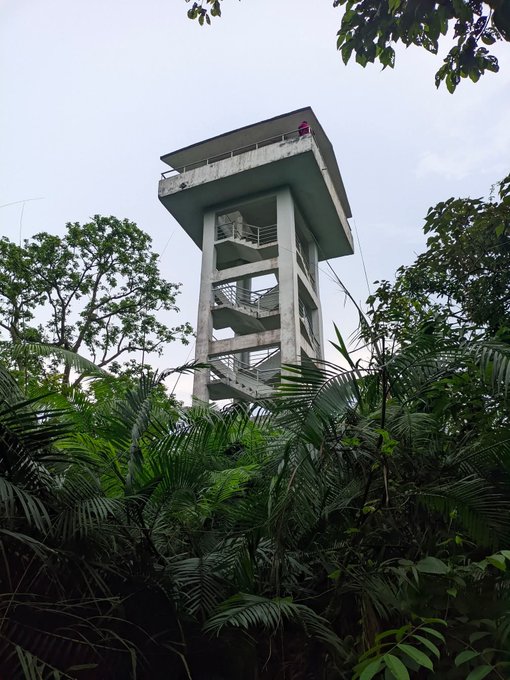 A tall concrete observation tower rises above lush tropical foliage, with a person visible at the top platform, symbolizing the elevated perspective and fresh outlook the post encourages readers to embrace as they set new goals for the day.
