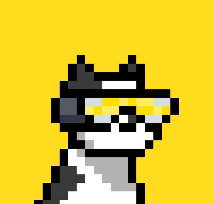 The image features a cartoon dog wearing glasses, sunglasses, and a hat with a yellow band. It appears to be a digital art piece or a pixel art style drawing of a cat. The caption below the image reads "The best collection on $DOGE Am I wrong". This suggests that the image is related to a specific online store called DogE, which sells various items for dogs and their owners.
