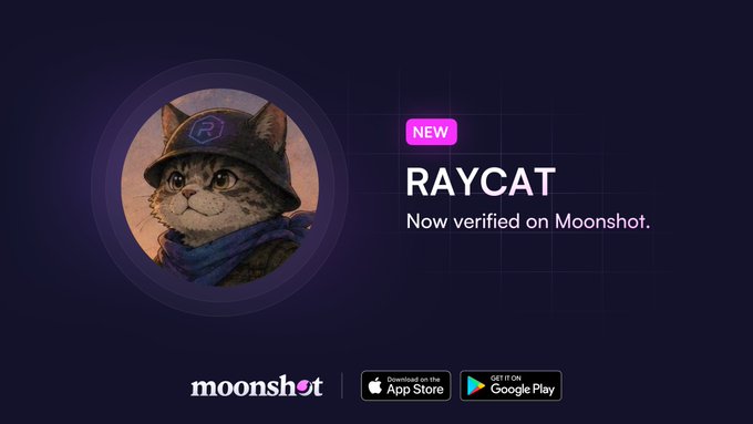 The promotional graphic features a cat wearing a cap emblazoned with the Raydium logo, alongside the text "NEW RAYCAT - Now verified on Moonshot." It announces the verification of Raydium Cat ($RAYCAT) on the Moonshot platform, with download links for the App Store and Google Play at the bottom.