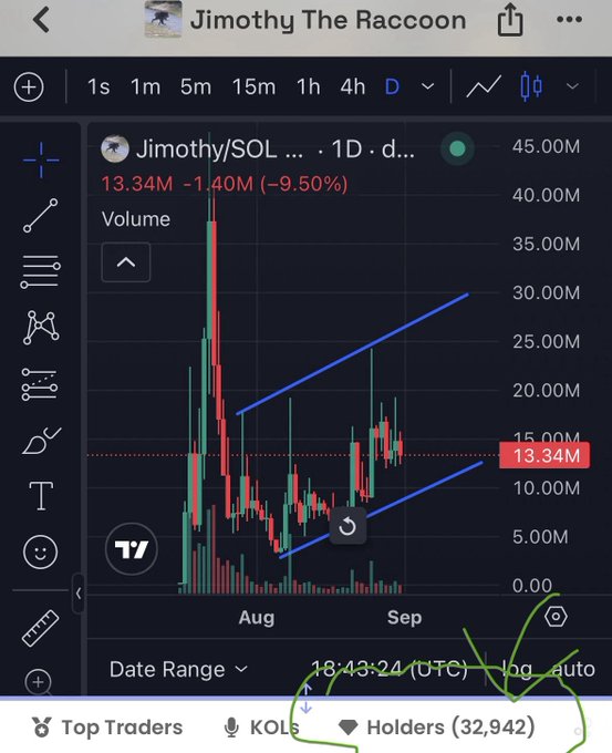Trading chart screenshot from a platform showing "Jimothy The Raccoon" with the ticker Jimothy/SOL, displaying a daily price of 13.34M, down 9.50%, with an ascending triangle pattern drawn in blue lines and notes about KOLs and 32,942 holders.